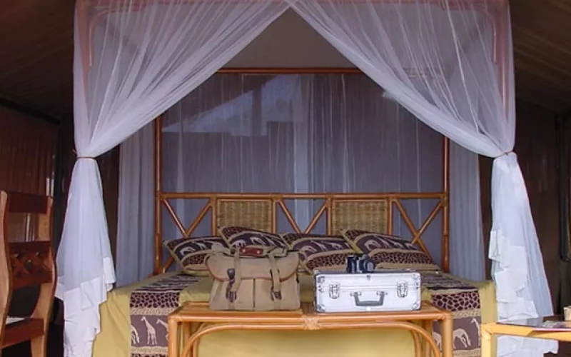 Tanzanian Honeymoon Safari