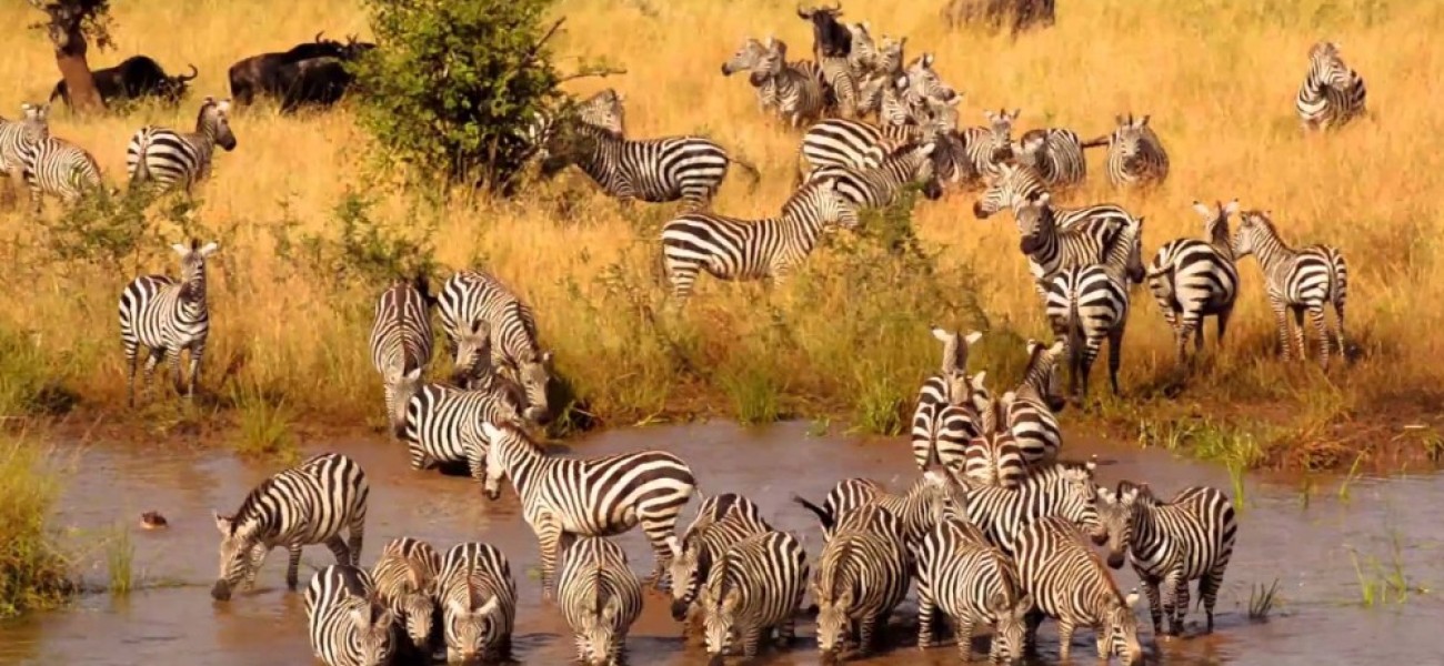 Reasons to Select wildernessandtrek